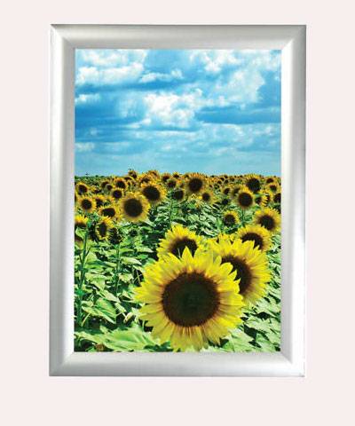 Poster Ebadı -B1 - 70 X 100 cm