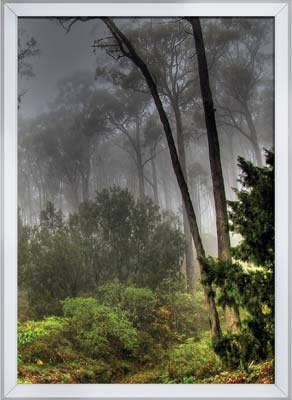 Poster Ebadı -A2 - 42x60 cm